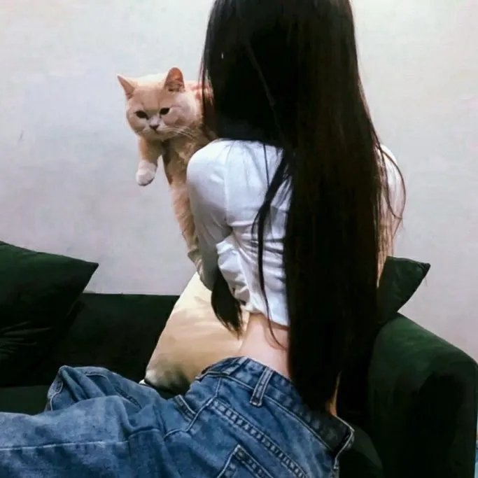 歼灭行动粤语